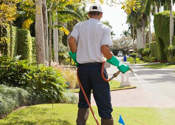 About Perry GA Pest Control Pros